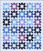 Morning Glories (Morning Glory)